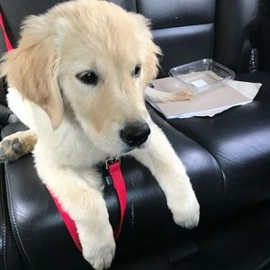 Meet your Posher, Jane